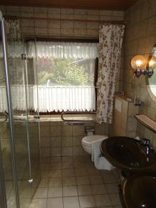 La salle de bains est pourvue d'une douche, de toilettes et d'une fenêtre. dans l'établissement Ferienhaus Luhetalblick Prescher, à Bispingen