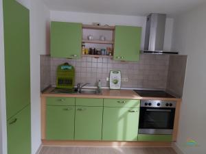 una cucina con armadi verdi e lavandino di FeWo "Am Teich" a Kreischa