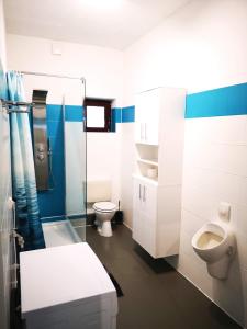 a small bathroom with a toilet and a shower at Apartments am Selker Noor - mit Naturpark, privater Terrasse und Bachlauf an der Selker Wassermühle in Schleswig