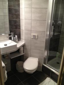 ein Bad mit einem WC, einem Waschbecken und einer Dusche in der Unterkunft Hotel The Originals Romans-sur-Isère Le Clos des Tanneurs in Romans-sur-Isère