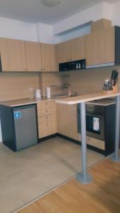 eine Küche mit Holzschränken und einer Arbeitsplatte in der Unterkunft Private Apartments in ASPEN VALLEY in Raslog