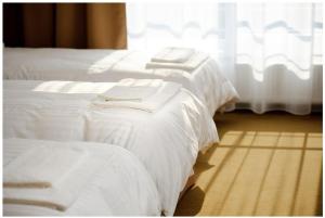 Tempat tidur dalam kamar di Hotel Mariana Gaborika