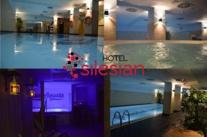 Bazén v ubytování Economy Silesian Hotel nebo v jeho okolí