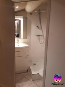 ein Bad mit einem WC, einem Waschbecken und einer Dusche in der Unterkunft Studio Centre Cannes By Palmazur in Cannes