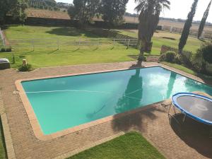 a large blue swimming pool in a yard at Krige Lodge B&B in Bloemfontein