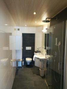 La salle de bains est pourvue de toilettes, d'un lavabo et d'une douche. dans l'établissement Schwaiger, à Breitenbach am Inn