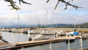 a bunch of boats docked in a marina at Casiñas Mariñeiras (Taberna Vella) in Portosin