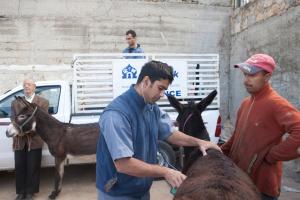 Hóspedes ficando em Dar Zerhoune