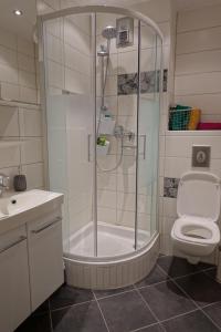 a bathroom with a shower with a toilet and a sink at 1 Zimmer Wohnung mit der Terrasse in der Innenstadt in Wiesbaden +13 photos