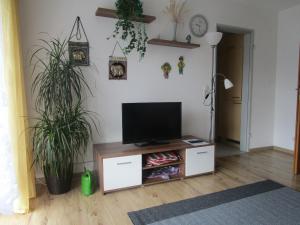 a living room with a flat screen tv on a stand at Gästehaus Moleblick in Uhldingen-Mühlhofen