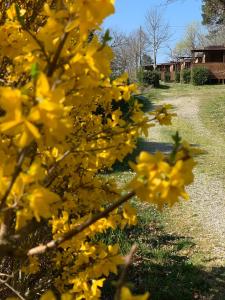 Gallery image of Camping San Giusto in San Giusto
