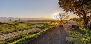 a dirt road in the middle of a field at New Fox Guest House in Zhuangwei