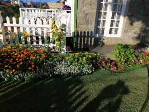 Garður fyrir utan Melford Nuwaraeliya