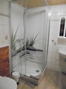 a bathroom with a shower with a plant in it at Neues Vaterland in Zehdenick