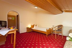 TV a/nebo společenská místnost v ubytování Hotel Bergheimat