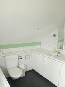 シュテファにあるHostel Seeburgの白いバスルーム(トイレ、シンク付)