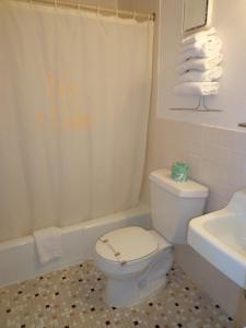 a bathroom with a toilet and a shower curtain at Isle of Palms Motel in Wildwood