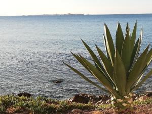 Fotografie z fotogalerie ubytování Paraíso en la Loma de Santa Pola v destinaci Gran Alacant