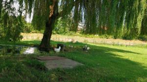 Zahrada ubytování Agriturismo Cascina Poscallone
