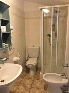 a bathroom with a toilet and a shower and a sink at Antiche Terre Hotel & Relax in Pignone