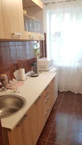 - une cuisine avec un évier et un comptoir avec une fenêtre dans l'établissement Eden Apartament, à Bucarest