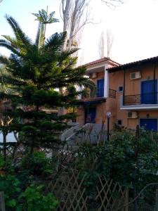 una casa con una palmera delante de ella en 9 Musses Hotel Apartments, en Skala Mistegnon