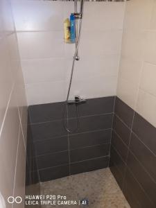 a bathroom with a shower with black and white tiles at 13 residence belle de nuit in Bouillante