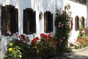 O grădină în afara Hotel & Gasthof Fürberg