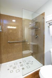 y baño con ducha de cristal y aseo. en The Dahlonega Square Hotel & Villas en Dahlonega