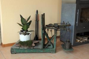 a plant and a scale next to a fireplace at Gästehaus Petra in Ürzig