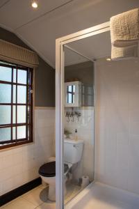 a bathroom with a toilet and a glass shower at The Bergzicht Guest Suite in Cape Town