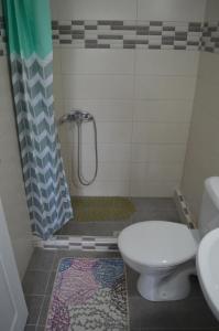 een badkamer met een douche, toilet en wastafel bij The Beach House in Nydri +37 foto's