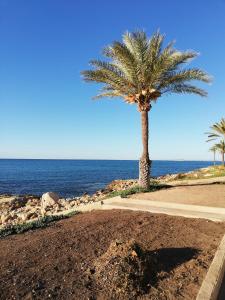 Fotografie z fotogalerie ubytování Paraíso en la Loma de Santa Pola v destinaci Gran Alacant