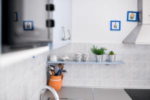 a kitchen with a shelf with plants and utensils at Apartments Martom in Seline +214 photos