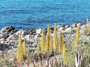 Fotografie z fotogalerie ubytování Paraíso en la Loma de Santa Pola v destinaci Gran Alacant