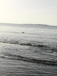Fotografie z fotogalerie ubytování Paraíso en la Loma de Santa Pola v destinaci Gran Alacant