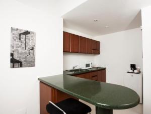 Kuchyň nebo kuchyňský kout v ubytování Richmond Suites Hotel + 18 fotografií