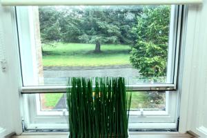 uma janela com uma planta verde num vaso em Butler's Apartment. Flat 5, Dalmore House, Helensburgh, Scotland G84 8JP em Helensburgh