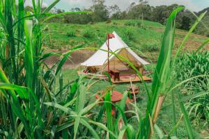 Glamping Finca Corazón外面的花园