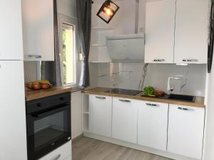 Kuchyňa alebo kuchynka v ubytovaní Apartments Villa Učka