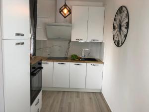 Kuchyňa alebo kuchynka v ubytovaní Apartments Villa Učka