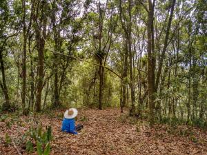 Glamping Finca Corazón外面的花园