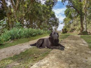 ArcabucoGlamping Finca Corazón的相册照片