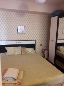 1 dormitorio con 1 cama grande en una habitación en Xaqani Küçəsi 1 BEDROOM F -1, en Baku