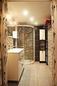 La salle de bains est pourvue d'une douche et d'un lavabo. dans l'établissement Joli duplex proche des plages, à Sainte-Marie-la-Mer