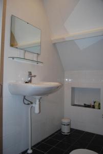 een badkamer met een wastafel en een spiegel bij Bed&Brood De StraVerdonk in Graft