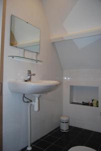 a bathroom with a sink and a mirror at Bed&Brood De StraVerdonk in Graft