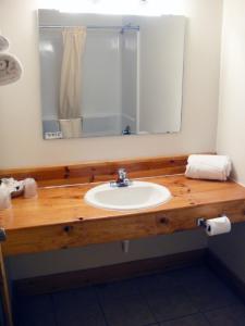 a bathroom with a sink and a mirror at Hiawatha Lodge Inn in Eagle River