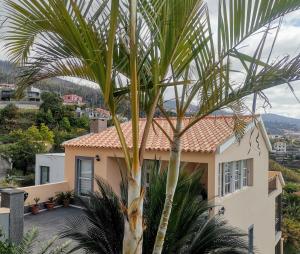 una palmera frente a una casa en Costa Residence Funchal View, en Funchal