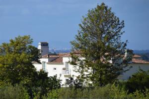 a white building with a chimney on top of trees at Quinta De Catralvos in Azeitao
